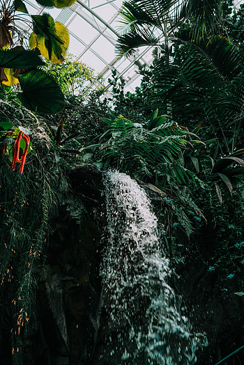 Plants, Miscellanea, Miscellaneous, Waterfall, Garden HD phone wallpaper
