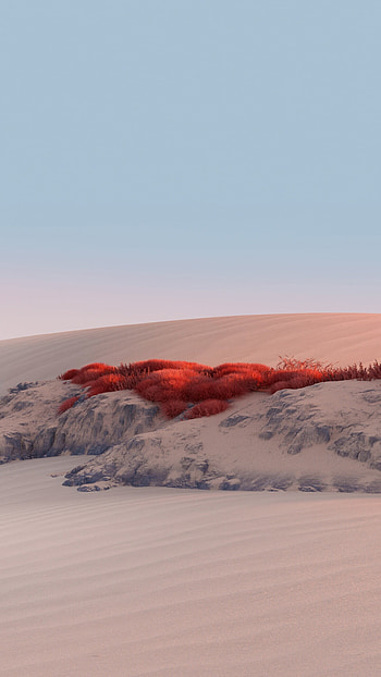 Microsoft Surface charm, Clear desert skies, Nature's canvas, Sand dune symphony HD phone wallpaper