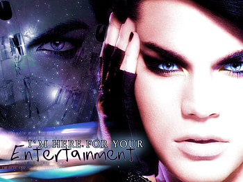 adam lambert my man, lopl, ol, l, lpk, lol HD wallpaper