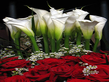 Mixed Flowers, white, roses, red, nature, flowers HD wallpaper