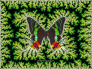 Butterfly on Fractal, butterfly, green, fractals HD wallpaper