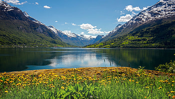 The Nordfjord at Stryn, Norway, reflections, landscape, clouds, flowers, sky, water, mountains HD wallpaper
