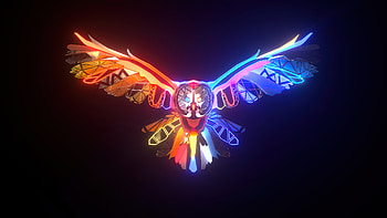 Nocturna Owl , owl, dark, black, artist, artist, artwork, digital-art, deviantart HD wallpaper
