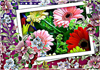 PRETTY FRAMED FLOWERS, PRETTY, FLOWERS, FRAMED, FUNKY HD wallpaper