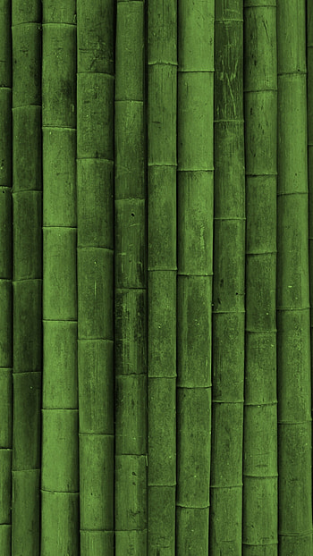 Preview bamboo, stick, green, vertical HD phone wallpaper
