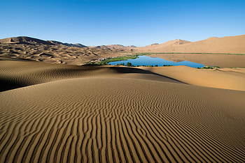 Nature, Sand, Desert, Patterns, Lake, Shore, Lines, Vegetation, Shores, Oasis HD wallpaper