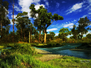 THE NEW EDEN, trees, garden, grass, pond HD wallpaper