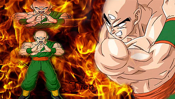Tien With Awesome Background By CoolRazor, goten, yamcha, cool background, flames, gohan, dragonballz, awesome background, ssj, burning, dragonballgt, db, tien with awesome background, super saiyan vegeta, tien, dbaf, supersaiyan goku, dbgt, dragonballaf, flame, dbz, goku, vegeta, cool, trunks, dragonball, redflame HD wallpaper