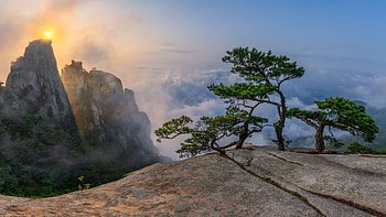 Garden of Eden, Seoul, South Korea, sunlight, landscape, trees, sky, rocks, misty HD wallpaper