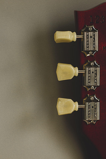 Music, Guitar, Tuners, Musical Instrument, Vulture, Splitting HD phone wallpaper