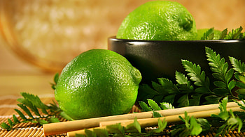 Of Sukkot computer , Jewish . HD wallpaper