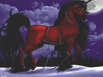 ruby red hores, night, sky, dark HD wallpaper