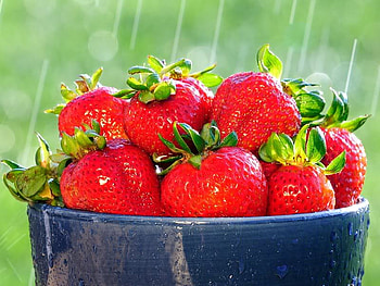 Bowl of Juicy Strawberries, strawberries, red, delicious, fruit, bowl, water HD wallpaper