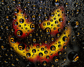 Bubbles, Drops, Macro, Texture, Textures, Surface HD wallpaper