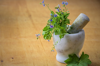Ultimate guide, Getting started, Herb garden, Herb plants HD wallpaper