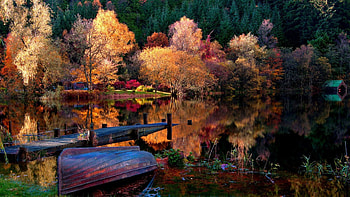 Autumn time, boat, landscape, autumn, frall, nature, forest, tree HD wallpaper