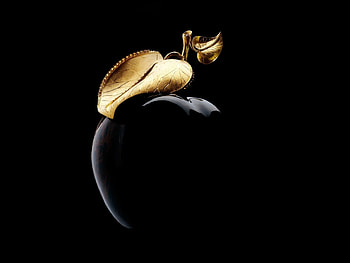 Background, Objects HD wallpaper