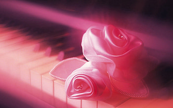 Pink, Miscellanea, Miscellaneous, Rose Flower, Rose, Keys, Delicate, Gentle HD wallpaper