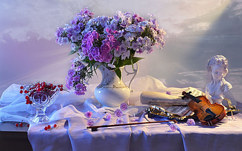 Phlox Still Life, still life, red currants, bust, vase, phlox, violin HD wallpaper