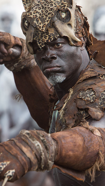 Djimon Hounsou, The Legend of Tarzan, Best movies of 2016, Memorable role HD phone wallpaper