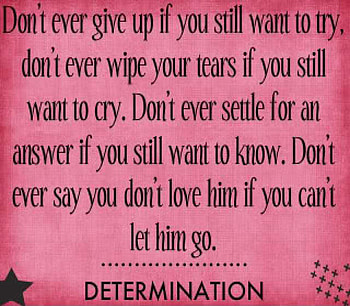 Time heals, try, dont give up, patient, patience, keep trying, life quote, love quote HD wallpaper