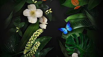 Texture, blue, summer, white, butterfly, flower, green HD wallpaper
