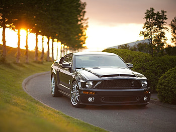 Transport, Auto, Roads, Mustang HD wallpaper
