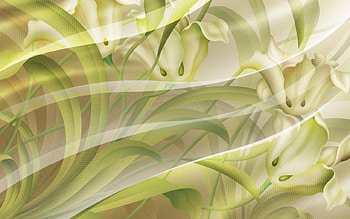 Spring Wind, flowers, gauzy curtain HD wallpaper