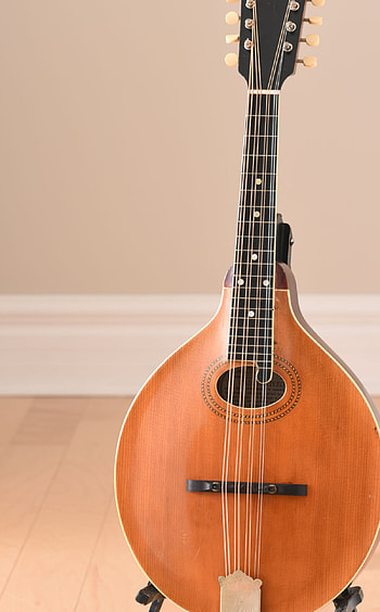 Mandola, 1916 Gibson, Folkway beauty, Vintage charm HD phone wallpaper