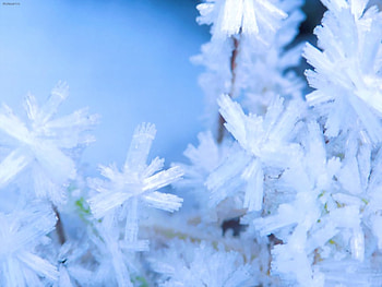Winter, Background, Snowflakes HD wallpaper