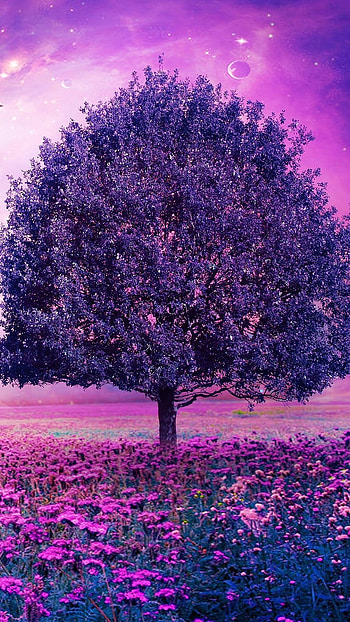 Purple Flowers, Purple, Forest HD phone wallpaper