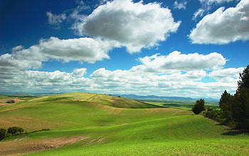 Green hills, nature, place HD wallpaper