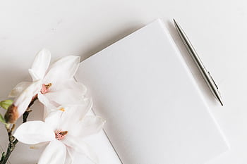 A minimalist flat lay featuring a white magnolia flower, an open notebook, and a silver pen on a white background. HD wallpaper