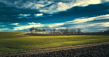 Field, landscape, spring, blue sky, sunny day HD wallpaper