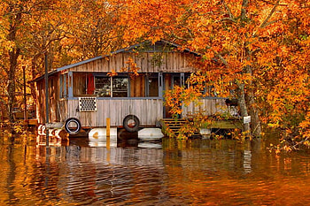 casuta mea :), casa, copaci, apa, frunze HD wallpaper