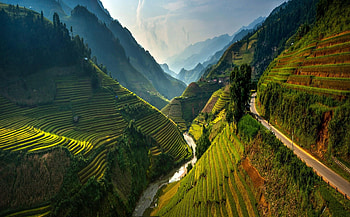 Rice terraces, , Breathtaking backgrounds, -perfect beauty HD wallpaper