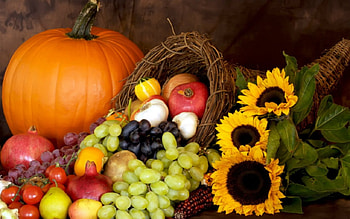 Fruits, Fall, Autumn, gourds, corn, sunflowers, pumpkin, harvest, Cornucopia HD wallpaper