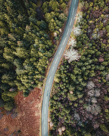 Nature, Trees, View From Above, Road, Forest, Wavy HD phone wallpaper