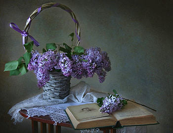 *** Still life ***, lilacs, nature, flowers, flower HD wallpaper