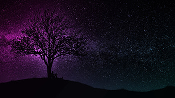 Art, Dark, Silhouette, Wood, Tree, Starry Sky HD wallpaper