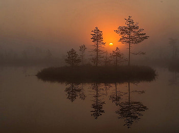 w lustrzanym odbiciu, e, w, r, d HD wallpaper