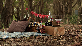 Picnic scene, Outdoor dining, Checkered blanket, Food HD wallpaper
