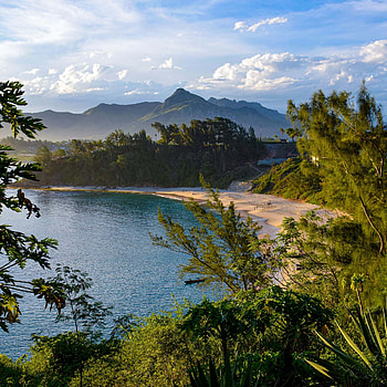 Spring 2022 Madagascar Study Abroad, Biodiversity Exploration, Natural Resource Management HD phone wallpaper