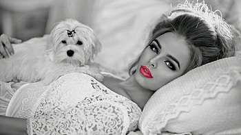 Beautiful, Girl, Beauty, Woman, Model, Lovely, Beaut HD wallpaper