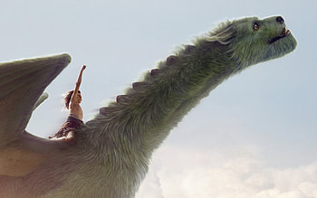 Petes Dragon Movie, petes-dragon, 2016-movies, movies, dragon HD wallpaper