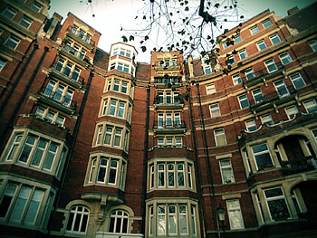 Facade, Windows, Houses, Building HD wallpaper