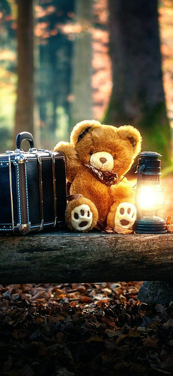 Teddy bear, Bears HD phone wallpaper
