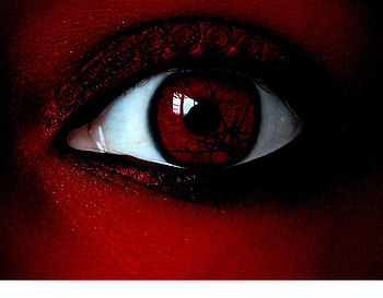 Eye of the rose, eye, abstract HD wallpaper