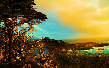 Point Lobos, California, sea, coast, colors, clouds, sky, rocks, sunset, tree, usa HD wallpaper