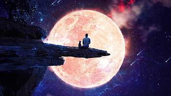 Want To Stay Here Forever, artist, artwork, digital-art HD wallpaper